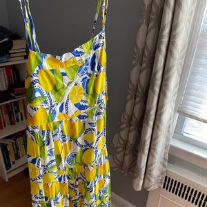 NWT Kenny Flowers Positano dress M